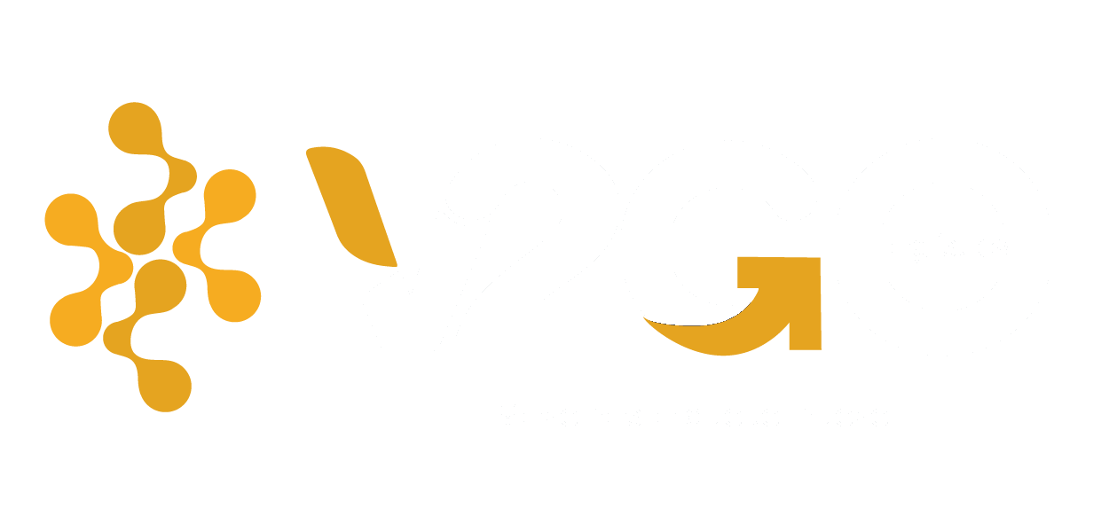 V2GO Logística