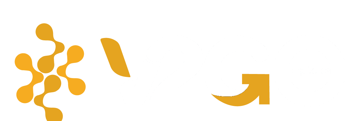 V2GO Logística